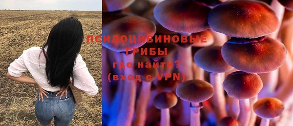 ешки Белоозёрский