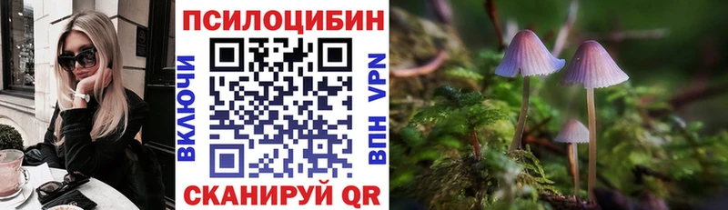 купить закладку  Вельск  Псилоцибиновые грибы Psilocybine cubensis 